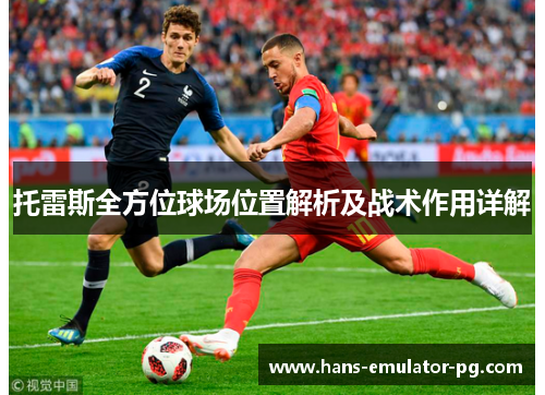 托雷斯全方位球场位置解析及战术作用详解