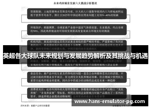 英超各大球队未来规划与发展趋势解析及其挑战与机遇