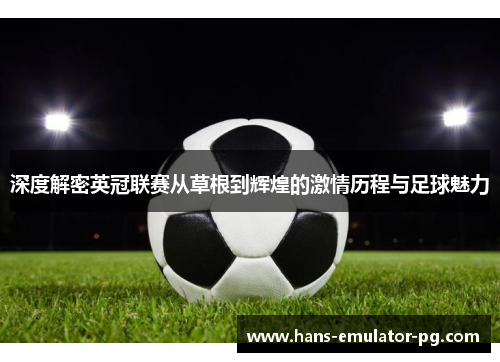 深度解密英冠联赛从草根到辉煌的激情历程与足球魅力