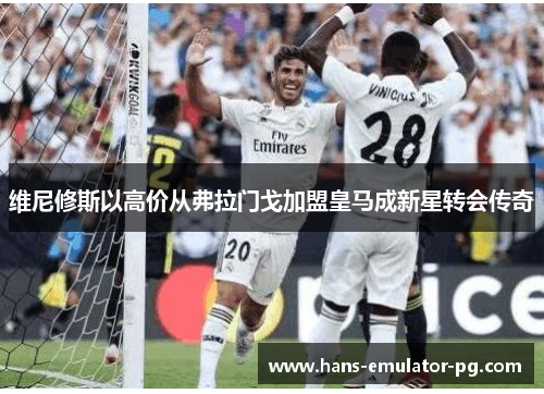 维尼修斯以高价从弗拉门戈加盟皇马成新星转会传奇 维尼修斯以高价从弗拉门戈加盟皇马成新星转会传奇