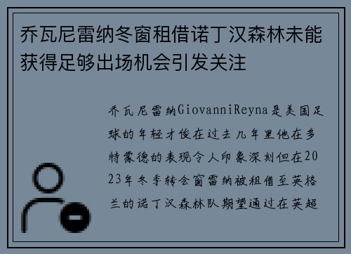 乔瓦尼雷纳冬窗租借诺丁汉森林未能获得足够出场机会引发关注