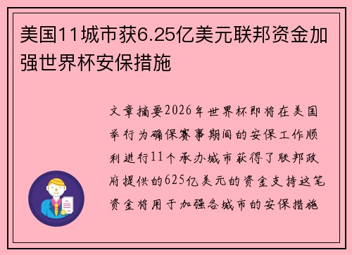 美国11城市获6.25亿美元联邦资金加强世界杯安保措施 美国11城市获6.25亿美元联邦资金加强世界杯安保措施